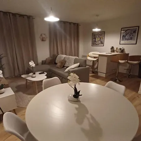 Le Petit Cozy - T2 En Centre-ville