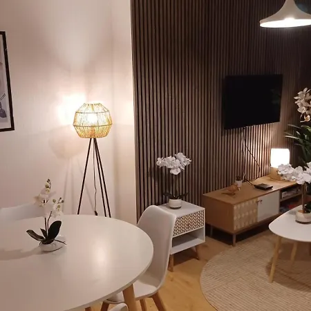 Le Petit Cozy - T2 En Centre-ville * Poitiers