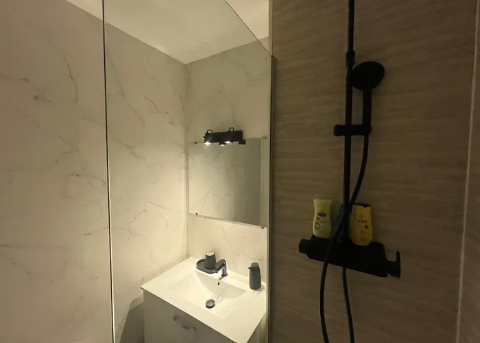 Apartamento Le Petit Cozy - T2 En Centre-ville Poitiers