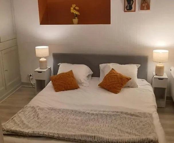 Apartamento Le Petit Cozy - T2 En Centre-ville *