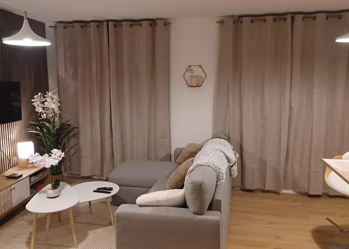 Apartamento Le Petit Cozy - T2 En Centre-ville *