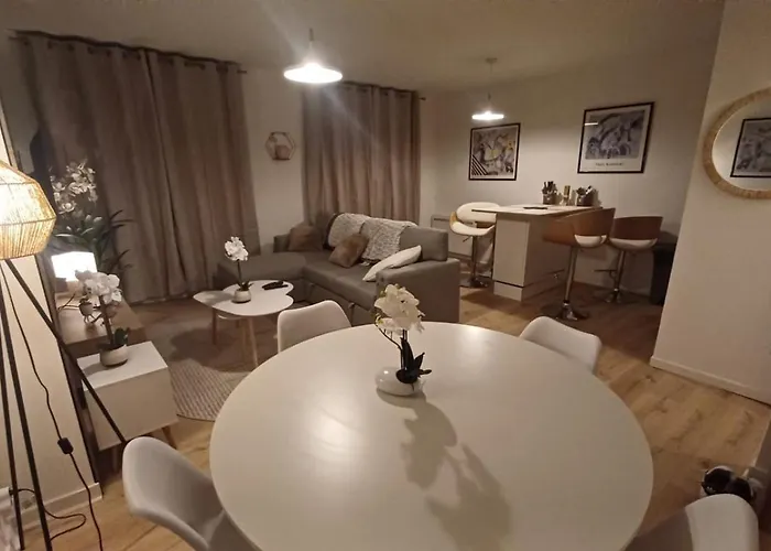 Le Petit Cozy - T2 En Centre-ville