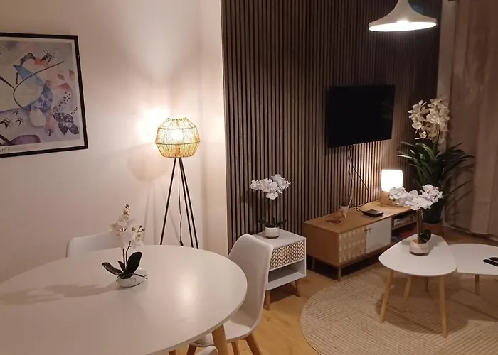 Le Petit Cozy - T2 En Centre-ville * Poitiers