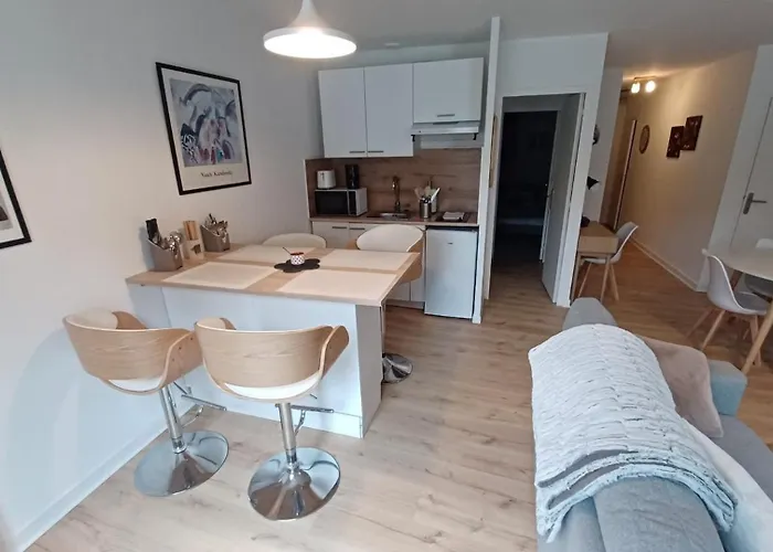 Apartamento Le Petit Cozy - T2 En Centre-ville Poitiers